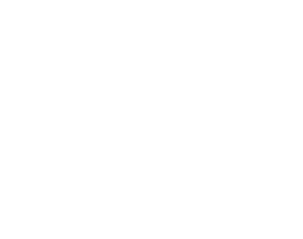 Народный проект